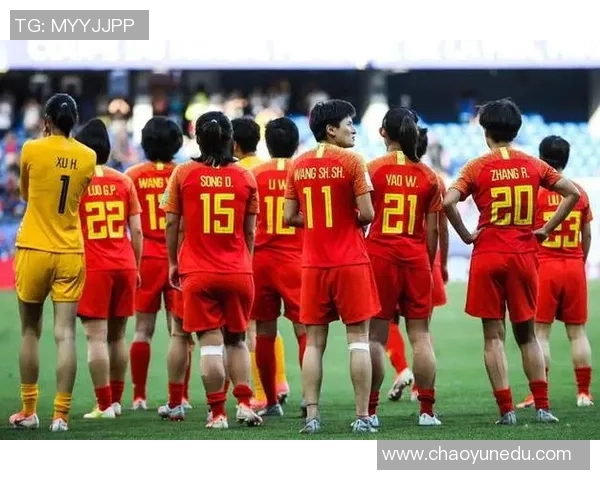 成都排球队在世界杯预选赛中的拼搏与荣耀之路详解