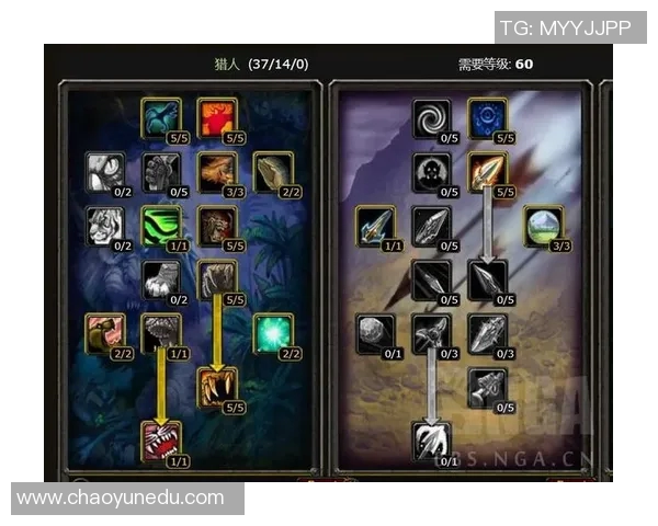 杨芳独家揭秘英雄联盟游戏技巧与心得分享助你提升实力与游戏体验 杨芳独家揭秘英雄联盟游戏技巧与心得分享助你提升实力与游戏体验