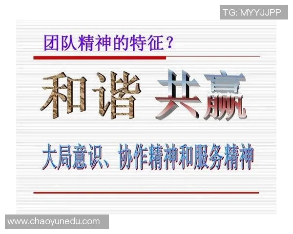 西安飞盘队的崛起与发展:力量与团队精神的深度剖析