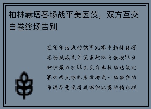 柏林赫塔客场战平美因茨，双方互交白卷终场告别
